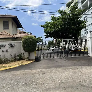  Apartment Finest Renfrew Place 1 Bedroom # 42 New Kgn 4--12 Renfrew Rd Jamaica